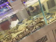 -喜来酌海鲜·饺子(和平一店)