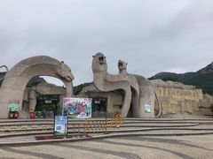 -青岛森林野生动物世界