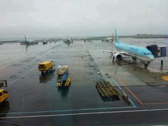 -龙头岩(Dragon Head Rock)