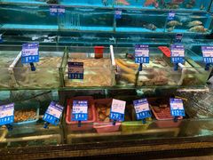水产区-强记海鲜·大排档(蛇口新街店)