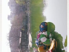 -莲湖公园