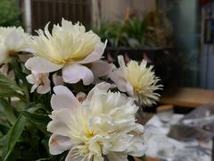 -艾加柒克蛋糕茶歇甜品台(春熙路店)