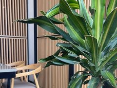 -享月汤皇·海鲜小火锅·聚会(曲江创意谷店)