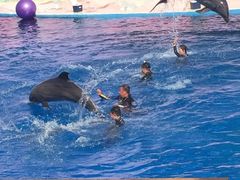 -北戴河圣蓝海洋公园