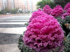 -桂林资江天门山风景区