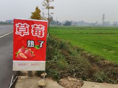 -金谷域澳洲庄园