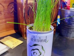 -很久以前羊肉串(清河店)