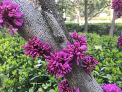 -苏州河梦清园环保主题公园