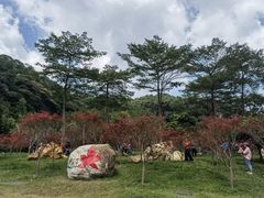 -广州市帽峰山景区