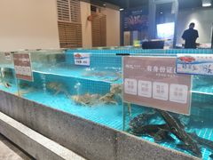 海鲜池-狮伙海鲜捞(千灯湖店)