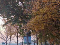 -大兴滨河森林公园