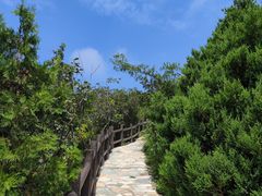 -北京西山国家森林公园