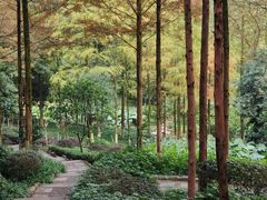 -重庆彩云湖湿地公园