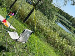 -春花秋色城市公园