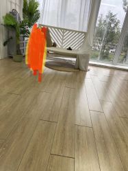 -可爱多国际儿童摄影会馆(龙泉店)