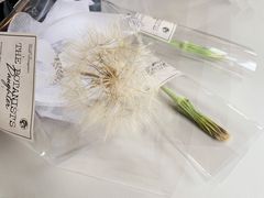 -植物学家的女儿(北马道巷店)