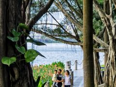 -南宁南湖公园