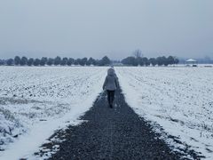 -汉长安城未央宫国家考古遗址公园