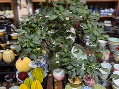 -明赫堂·柴窑馆·手作瓷集合店