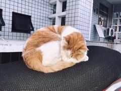 -中央财经大学-图书馆