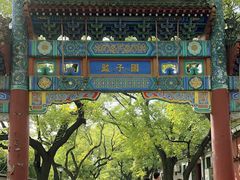 -北京国子监胡同