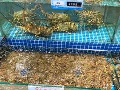 -友鹏海鲜(新宜白大道店)