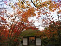 -常寂光寺
