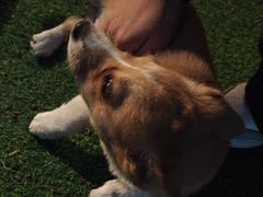 -集结号CLUB别墅聚会轰趴馆