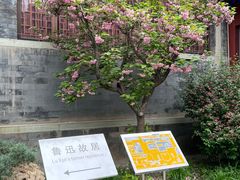 -北京鲁迅博物馆(北京新文化运动纪念馆鲁博馆区)