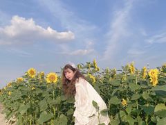 -映月湖中央公园