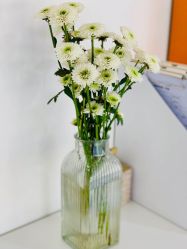 -昕孕瑜伽·孕妇瑜伽·产后修复