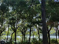 -美兰湖景区