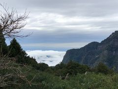 -金盆阿嬷香菇茶叶蛋(玄光店)