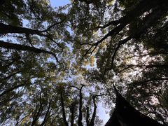 -宁波市保国寺古建筑博物馆