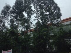 -东风公园