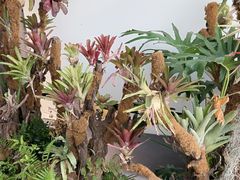 -扶摇湘宴·烤鸭·湘粤宴(中关村·北大店)