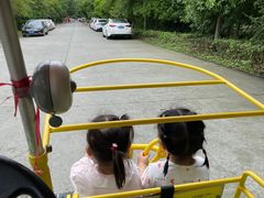 -罗家巷子休闲庄自助碳烤