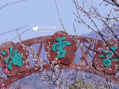 -香雪海