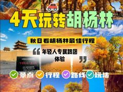 -金塔沙漠胡杨林景区