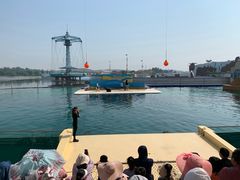 -秦皇岛乐岛海洋王国