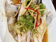 -海盗餐厅