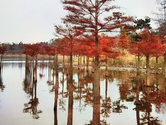 -南京枫彩漫城