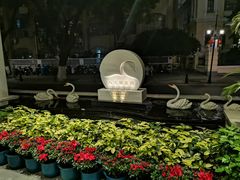 -广州长隆野生动物世界