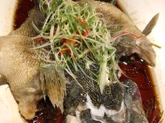 清蒸笋壳鱼-伙靠·江浙菜(田林路店)