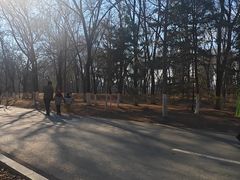 -长白岛森林公园