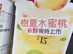 -树夏(建设路店)