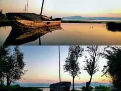 -洱海月湿地公园