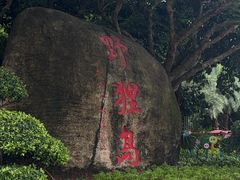 -野狸岛