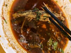 -胖大姐黄辣丁鱼庄(新津店)