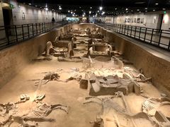 -洛阳周王城天子驾六博物馆